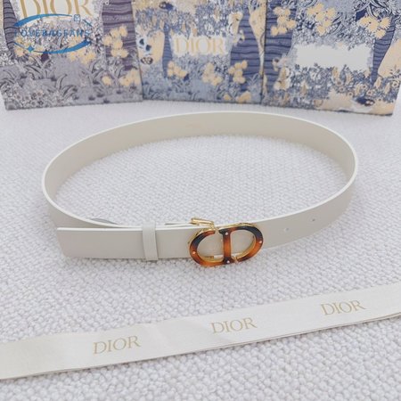 Dior Montaigne Belt