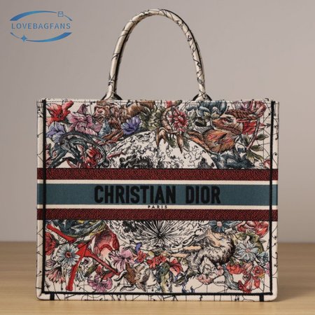 Dior Book Tote Bag