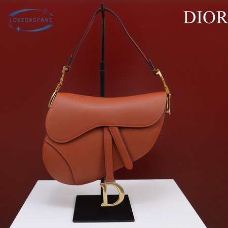 Dior Saddle M0446