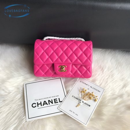 Chanel Bags